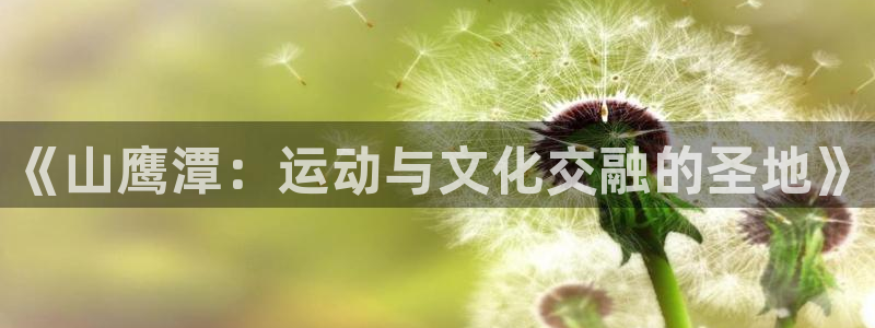 天天体育在线直播：《山鹰潭：运动与文化交融的圣地》