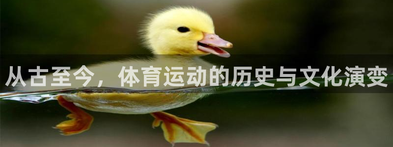 天天体育NBA直播能看啥：从古至今，体育运动的历史与文化演变