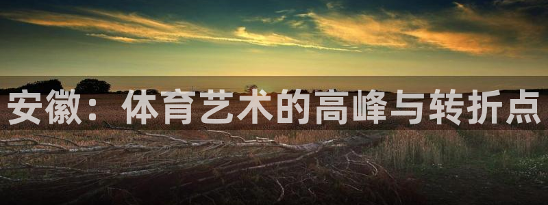 天天体育NBA直播入口：安徽：体育艺术的高峰与转折点