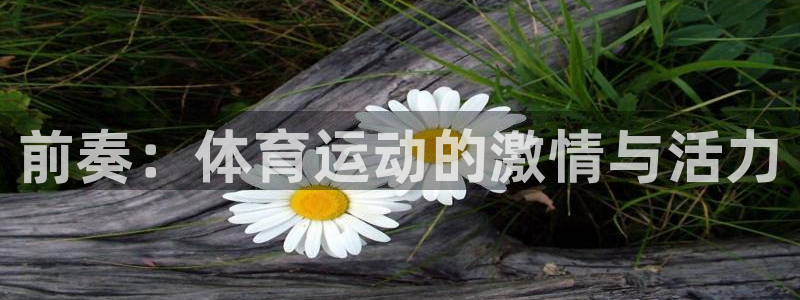 天天体育女主持人名单：前奏：体育运动的激情与活力