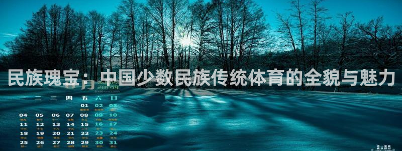 天天体育三分球：民族瑰宝：中国少数民族传统体育的全貌与魅力