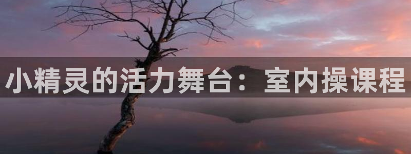 天天体育几点播出：小精灵的活力舞台：室内操课程