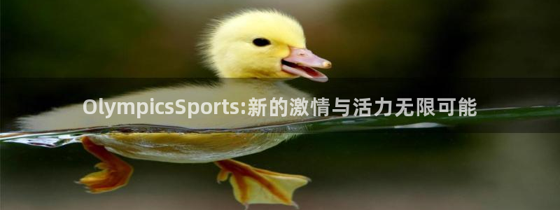 天天体育乒乓球直播：OlympicsSports:新的激情与活力无限可能