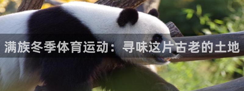 天天体育公司：满族冬季体育运动：寻味这片古老的土地
