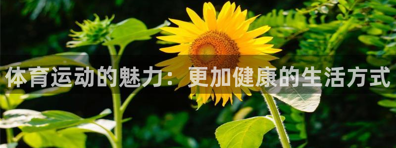 天天体育夺冠：体育运动的魅力：更加健康的生活方式