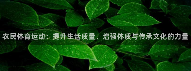 天天体育微博新浪：农民体育运动：提升生活质量、增强体质与传承文化的力量
