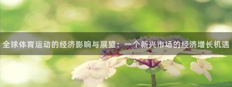 天天体育logo：全球体育运动的经济影响与展望：一个新兴市场的经济增长机遇